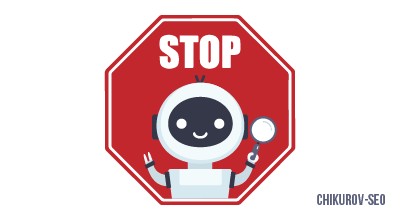 SEO Meta Robots